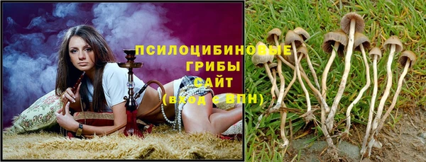 Альфа ПВП Алзамай