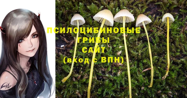 спайс Новодвинск