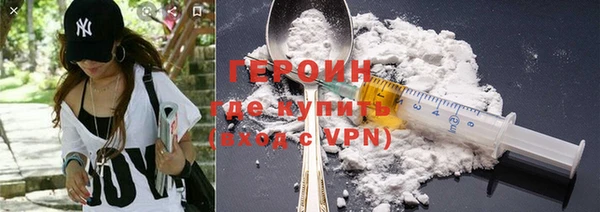 индика Новозыбков