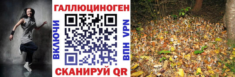 Псилоцибиновые грибы Psilocybe Фёдоровский